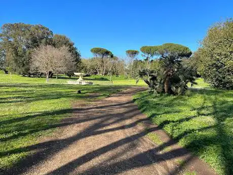 Photo de Albero Monumentale Pioppo Nero