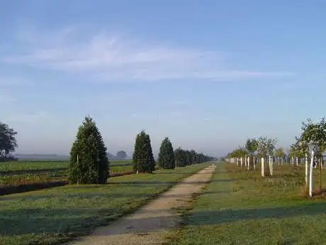 Allée Royale