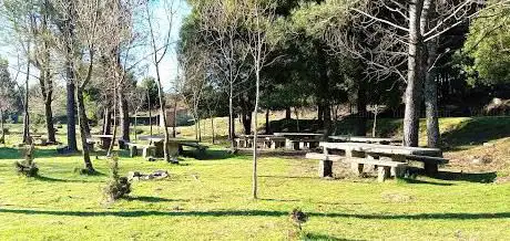 Fonte Louçã