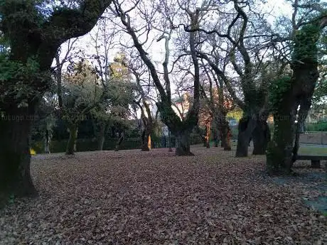 Photo de Carballeira de S. Lourenzo