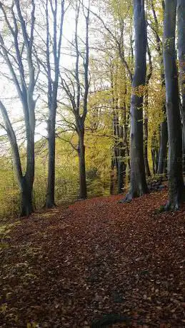 Photo de Maison des forêts de Darnétal