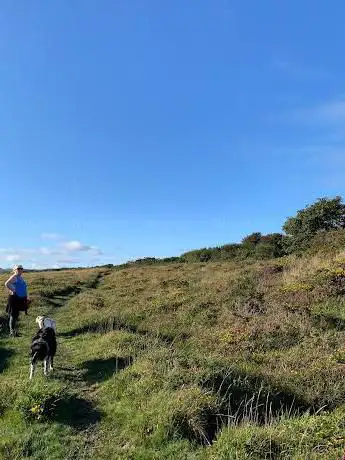 Goss Moor Trail