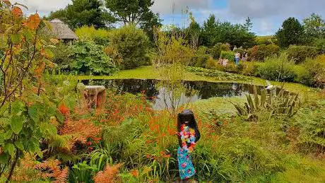 Tanglewood Wild Garden