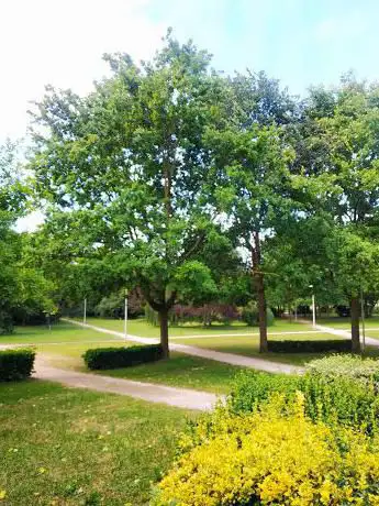 City/Town Hall Park