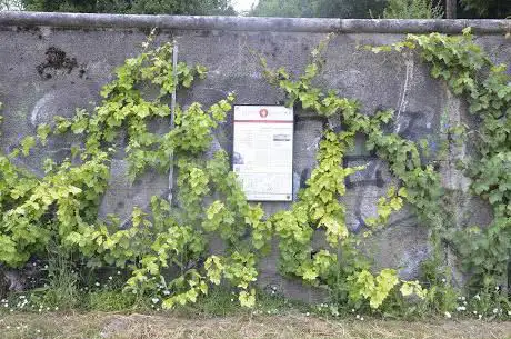 Weinweg Höngg