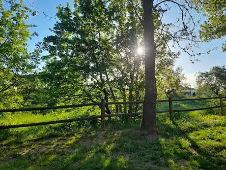 Giardino pubblico di San Donnino