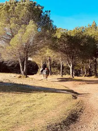 Photo de CIRCUIT PÉDESTRE DE LA CABRE - SÉNAS