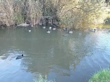 Photo de Lac de Sarcelles