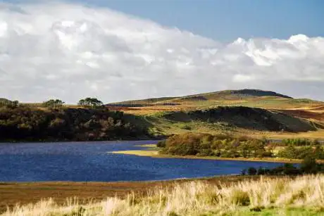 Photo de Greenlee Lough
