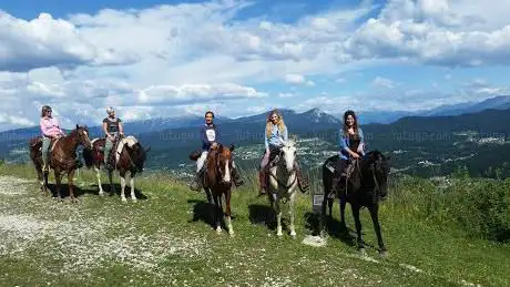 Centro Equestre Il Salice - Sede Estiva (Luglio/Agosto)