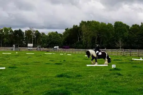 Seechem Equestrian Centre