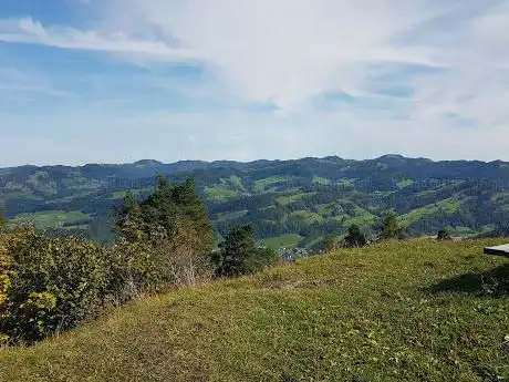 Burgruine Neu-Toggenburg