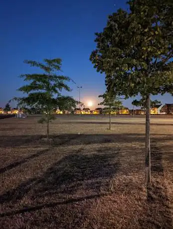 Play Park