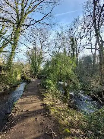 Photo de Rivelin Valley Trail