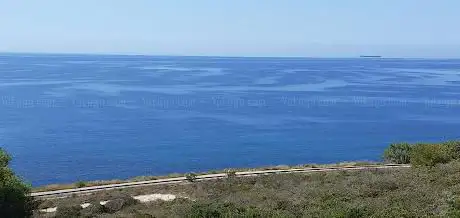 Pineta di Balai Lontano