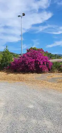 Photo de Stadio San Bartolomeo