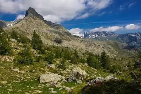Monte Ruvic