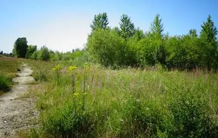 Parc Paysager de la Friche Kodak