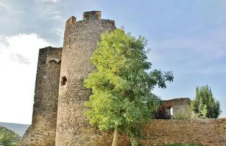 Photo de Château de Chalus