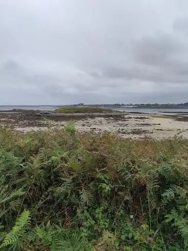 Photo de Menhir de Menozac'h (visible uniquement à marée basse)