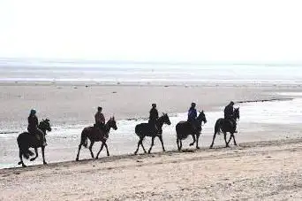 Photo de The Riage horse riding