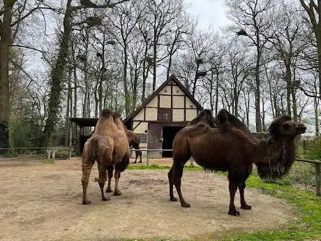 Photo de NaturZoo Rheine