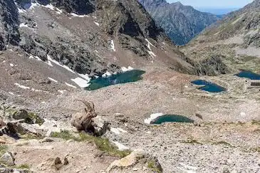 Baisse de druos
