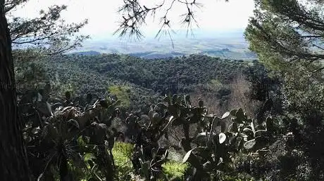 Photo de Bosco Angimbè