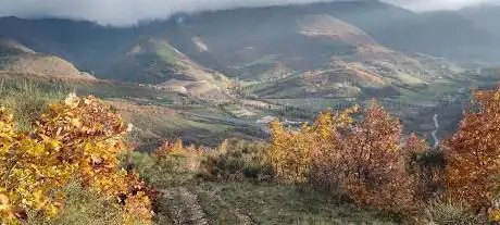 Pianelli Di Varano
