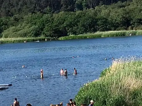 Frensham Great Pond
