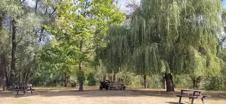 aire de pic-nic