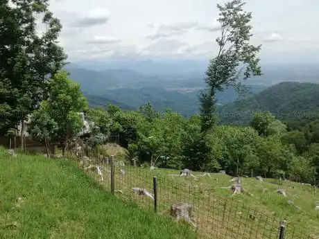 Photo de Madonnina Del Monte Carnizza/Mala Marija Karniška
