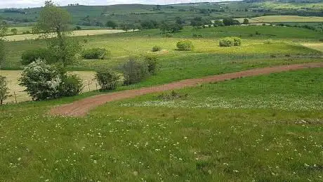 Mx Track