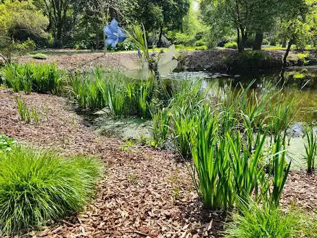 Arboretum 2 Het Leen