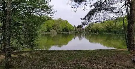 Photo de Étang du Petit Bois