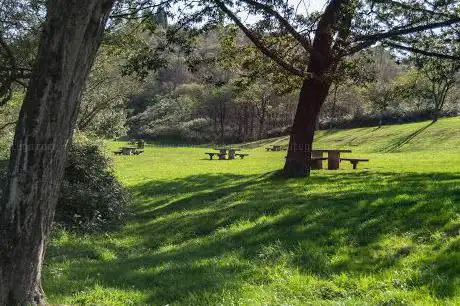 Photo de Naranco Recreation Area