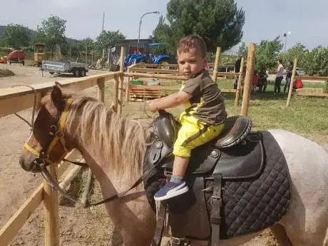 Photo de Centro Equestre Bonolegno