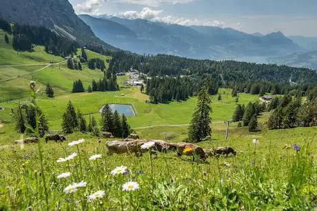 Photo de Tourismusbüro