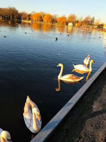 Photo de Wimbledon Park
