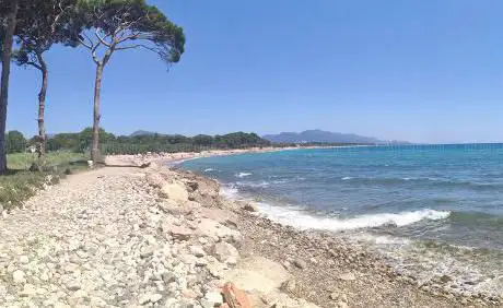 Photo de Platja de Rifà