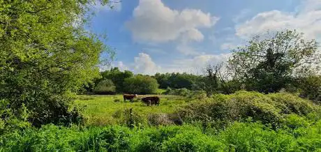 Photo de Watercress Meadows