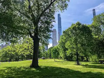 Photo de Central Park Volleyball Courts