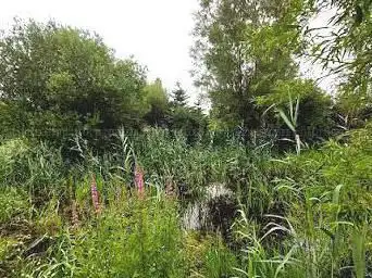 Wilgenhoek