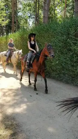 Horse Trail Riding VOF