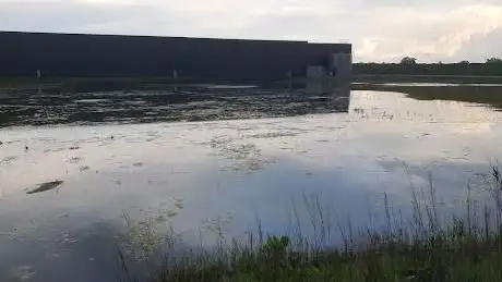 Natuurgebied 