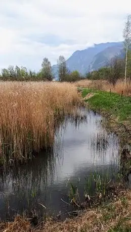 Photo de Réserve naturelle des Rigoles de Vionnaz