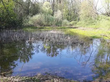 Photo de Area umida La Foppa Parco delle Groane