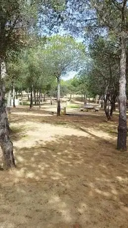 Merendero (Rociana del condado)
