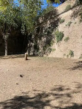 Area cani Mura Gianicolensi