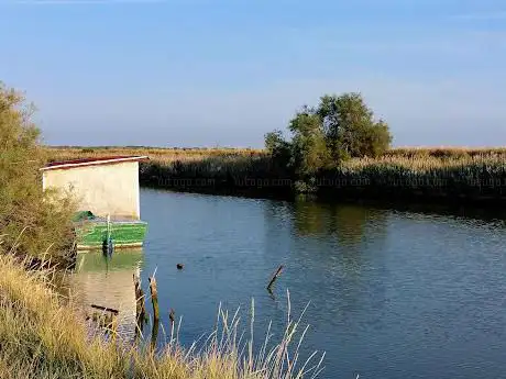 Photo de Torre per birdwatching